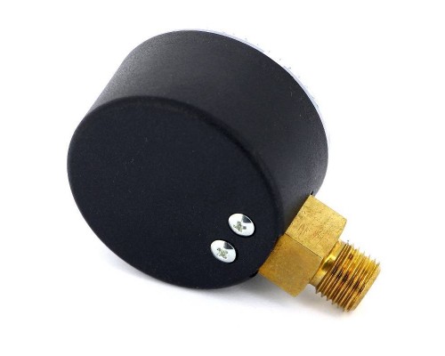Манометр радиальный F+R200 WATTS Ind 1/4" 50 мм 16 бар Манометр радиальный F+R200 WATTS Ind 1/4" 50 мм 16 бар