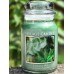 Village Candle Эвкалипт и мята (602 грамма)