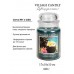 Декоративная свеча Village Candle Тропический остров (602 грамм)
