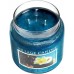 Декоративная свеча Village Candle Тропический остров (602 грамм)