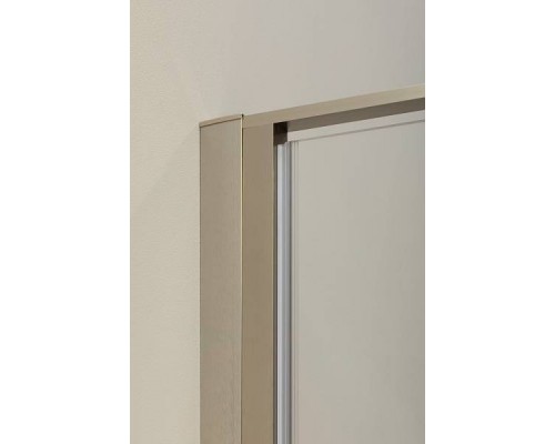 Allen Brau Priority Душевая дверь 90 см, цвет: серебро браш 3.31002.BA
