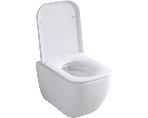 Allen Brau Infinity Унитаз подесной с инсталляцией 36x51x35h см, цвет: белый 00316505