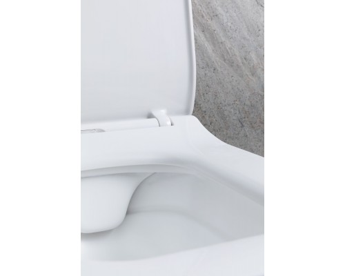 Allen Brau Liberty Унитаз подвесной 37x45x41,5h см, цвет: белый 4.33007.21