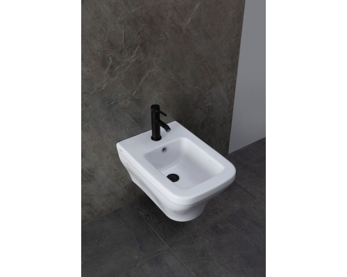 Allen Brau Infinity Биде подвесное 35,5x53x28,5h см, цвет: белый 4.21014.20 Allen Brau Infinity Биде подвесное 35,5x53x28,5h см, цвет: белый 4.21014.20