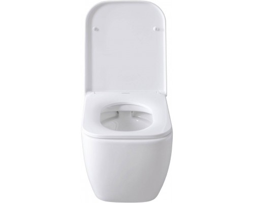 Allen Brau Infinity Унитаз подесной с инсталляцией 36x51x35h см, цвет: белый 00316505