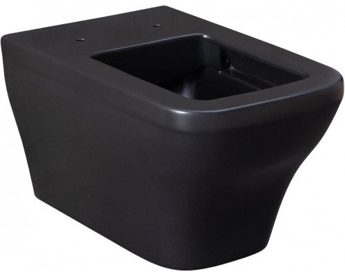 Allen Brau Infinity Чаша для подвесного унитаза 34x53,5x35,5h см, цвет: черный 4.21011.31