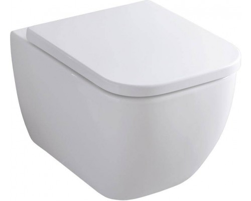 Allen Brau Infinity Унитаз подесной с инсталляцией 36x51x35h см, цвет: белый 00316505