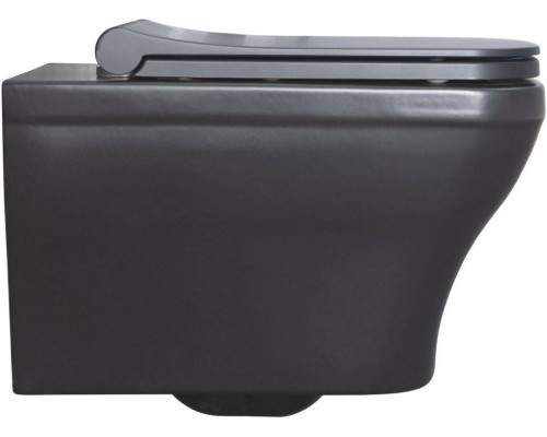 Allen Brau Infinity Чаша для подвесного унитаза 34x53,5x35,5h см, цвет: черный 4.21011.31