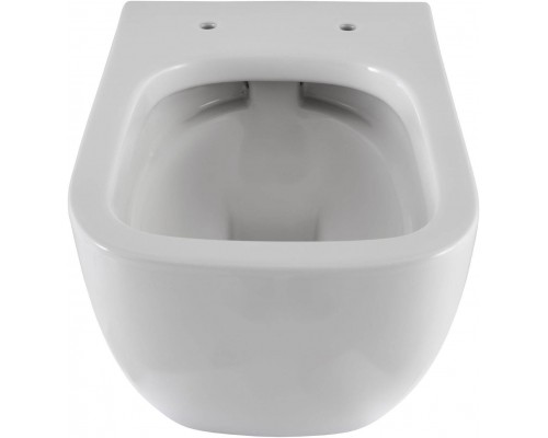 Allen Brau Infinity Унитаз подесной с инсталляцией 36x51x35h см, цвет: белый 00316505