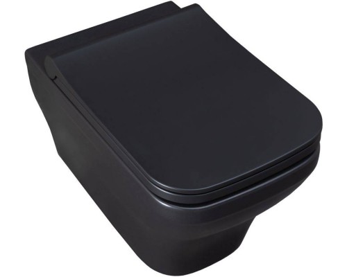 Allen Brau Infinity Чаша для подвесного унитаза 34x53,5x35,5h см, цвет: черный 4.21011.31