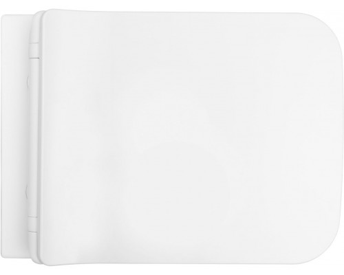 Allen Brau Liberty Унитаз подвесной 37x45x41,5h см, цвет: белый 4.33007.21