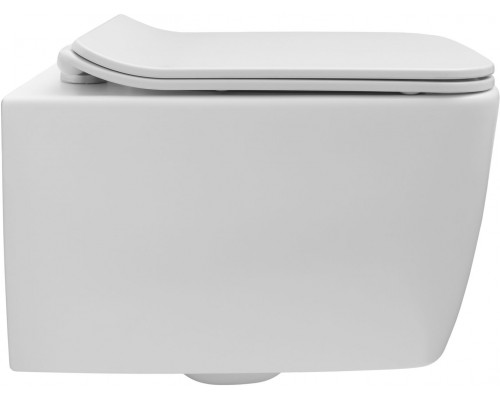 Allen Brau Liberty Унитаз подвесной 37x45x41,5h см, цвет: белый 4.33007.21