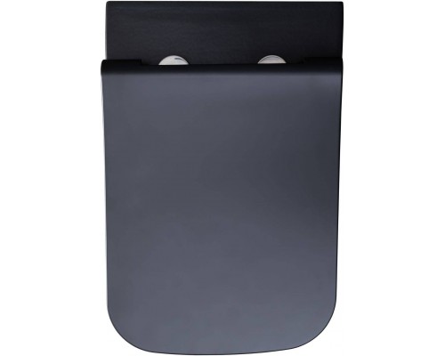 Allen Brau Infinity Чаша для подвесного унитаза 34x53,5x35,5h см, цвет: черный 4.21011.31