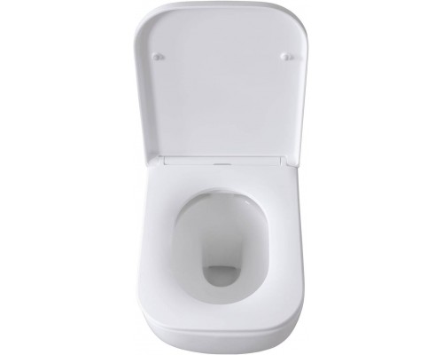 Allen Brau Infinity Унитаз подесной с инсталляцией 36x51x35h см, цвет: белый 00316505