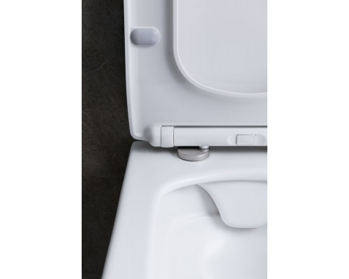 Allen Brau Liberty Унитаз подвесной 37x45x41,5h см, цвет: белый 4.33007.21