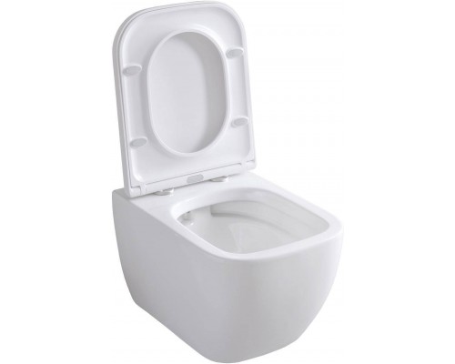 Allen Brau Infinity Унитаз подесной с инсталляцией 36x51x35h см, цвет: белый 00316505