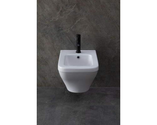 Allen Brau Infinity Биде подвесное 35,5x53x28,5h см, цвет: белый 4.21014.20 Allen Brau Infinity Биде подвесное 35,5x53x28,5h см, цвет: белый 4.21014.20