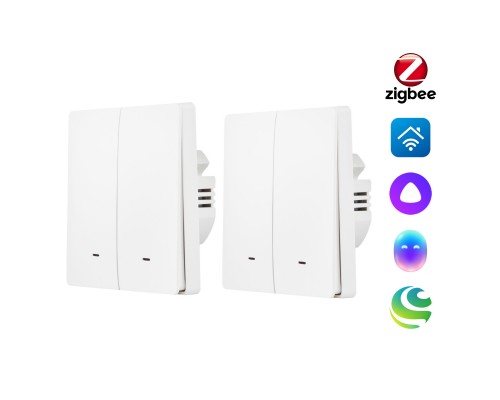 Комплект два умных двухклавишных выключателя HOMMYN 2SWZBNN02W