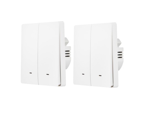 Комплект два умных двухклавишных выключателя HOMMYN 2SWZBNN02W