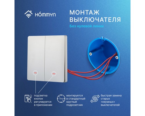Комплект два умных двухклавишных выключателя HOMMYN 2SWZBNN02W