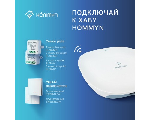 Комплект два умных двухклавишных выключателя HOMMYN 2SWZBNN02W