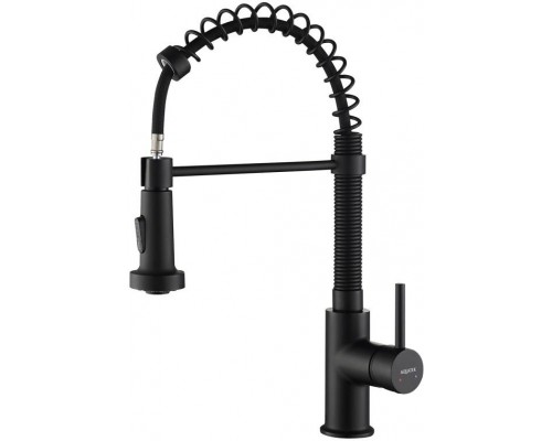AQ1387MB ЕВРОПА смеситель для кухни 2 jet (профессиональный), матовый черный AQ1387MB