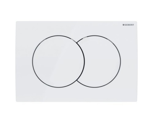115.107.11.1 Смывная клавиша Geberit Delta01, для двойного смыва: Альпийский белый 115.107.11.1