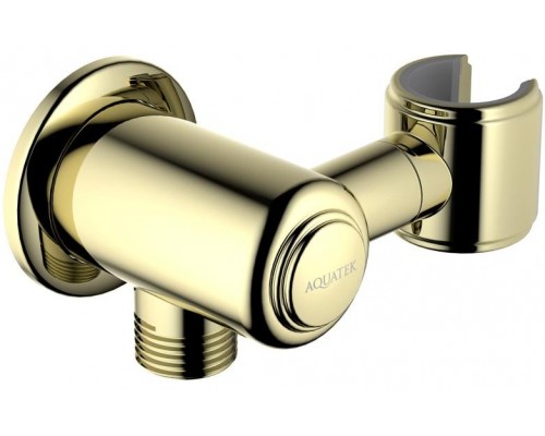 AQ2462PG КЛАССИК шланговое подсоединение с держателем, полир. золото AQ2462PG