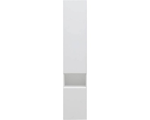 Allen Brau Infinity Шкаф-пенал 35 см, левосторонний, цвет: белый матовый 1.21010.WM Allen Brau Infinity Шкаф-пенал 35 см, левосторонний, цвет: белый матовый 1.21010.WM