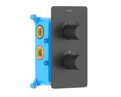 AQ1391MB ЕВРОПА термостатический смеситель для душа 1 режим (внешняя и скрытая часть), матовый черный AQ1391MB