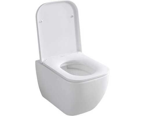 Allen Brau Infinity Унитаз подвесной, безободковый, 36x51x35h см, цвет: белый 4.21004.20