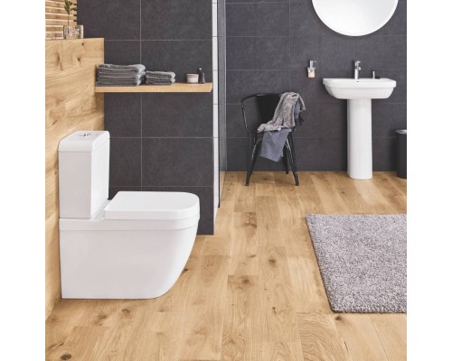 39338000 Euro Ceramic Унитаз напольный безободковый (без бачка и сиденья), альпин-белый 39338000