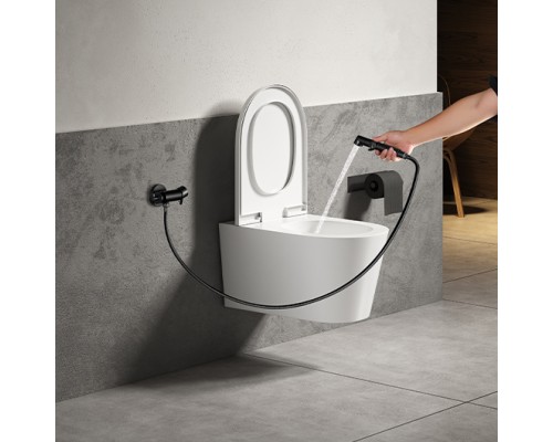 LM7166BLSOLOСмеситель с гигиеническим душем, встраиваемый, черный LM7166BL