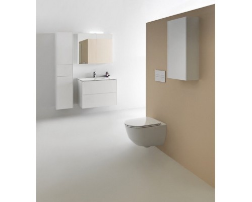 8.6496.1.261.104.1 PRO S Раковина и шкафчик под раковину (800x500x610 мм), 8.6496.1.261.104.1