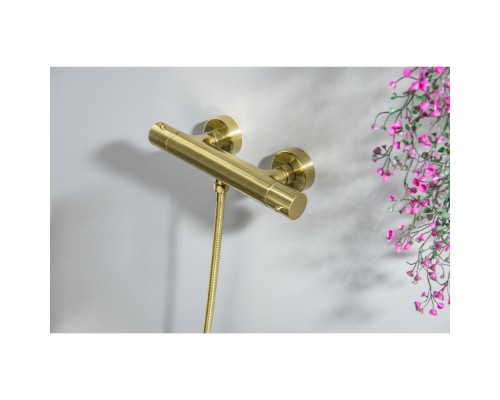 AQ1363BG ЕВРОПА термостатический смеситель для душа, шлиф. золото AQ1363BG