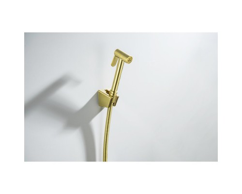 AQ2054BG гигиенический ручной душ со шлангом 120 см и держателем, шлиф. золото AQ2054BG