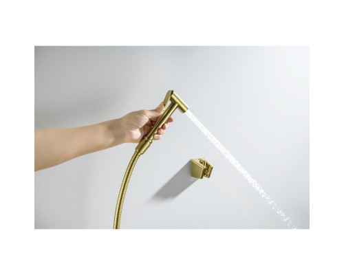 AQ2054BG гигиенический ручной душ со шлангом 120 см и держателем, шлиф. золото AQ2054BG