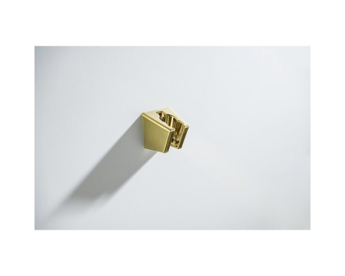 AQ2054BG гигиенический ручной душ со шлангом 120 см и держателем, шлиф. золото AQ2054BG