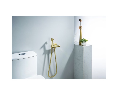 AQ1027BG ОБЕРОН комплект для гигиенического душа термостатический встроенный (смеситель + гигиеническая лейка + шланг), шлиф. золото AQ1027BG