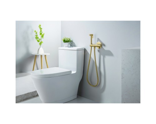 AQ1027BG ОБЕРОН комплект для гигиенического душа термостатический встроенный (смеситель + гигиеническая лейка + шланг), шлиф. золото AQ1027BG