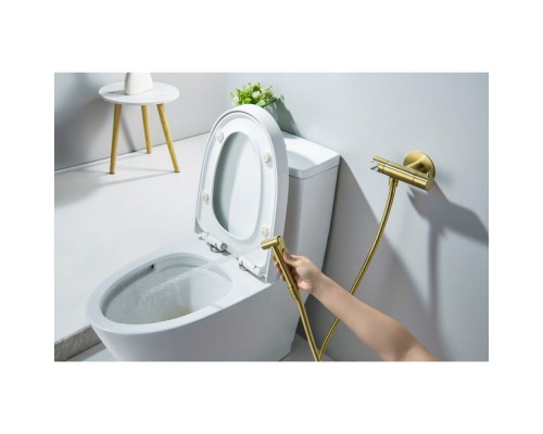 AQ1027BG ОБЕРОН комплект для гигиенического душа термостатический встроенный (смеситель + гигиеническая лейка + шланг), шлиф. золото AQ1027BG