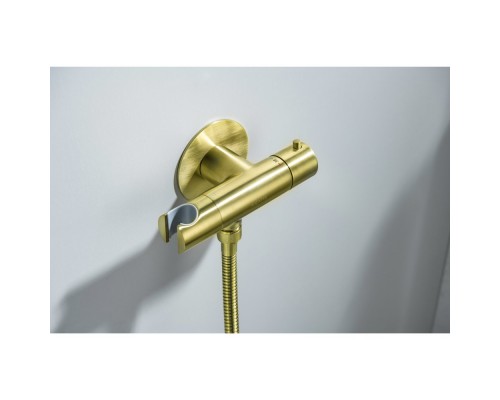 AQ1027BG ОБЕРОН комплект для гигиенического душа термостатический встроенный (смеситель + гигиеническая лейка + шланг), шлиф. золото AQ1027BG