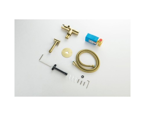 AQ1027BG ОБЕРОН комплект для гигиенического душа термостатический встроенный (смеситель + гигиеническая лейка + шланг), шлиф. золото AQ1027BG