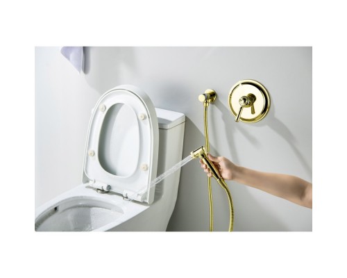 AQ1519PG КЛАССИК набор с гигиеническим душем (смеситель + гигиеническая лейка + шланг + шланговое подсоединение с держателем), полир. золото AQ1519PG