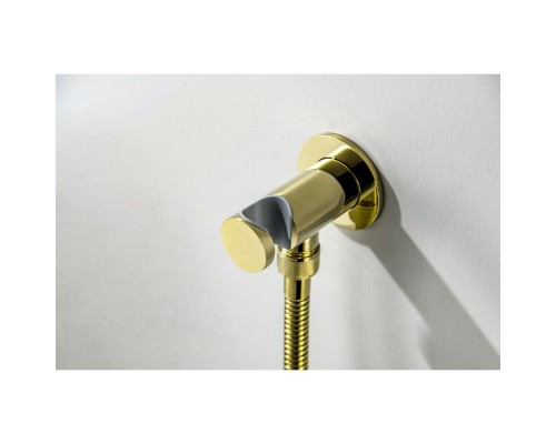 AQ1519PG КЛАССИК набор с гигиеническим душем (смеситель + гигиеническая лейка + шланг + шланговое подсоединение с держателем), полир. золото AQ1519PG