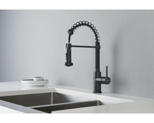 AQ1387MB ЕВРОПА смеситель для кухни 2 jet (профессиональный), матовый черный AQ1387MB