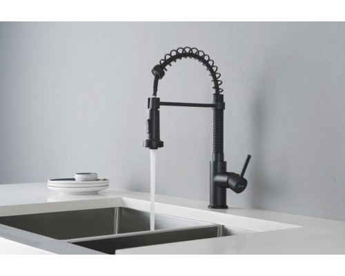 AQ1387MB ЕВРОПА смеситель для кухни 2 jet (профессиональный), матовый черный AQ1387MB