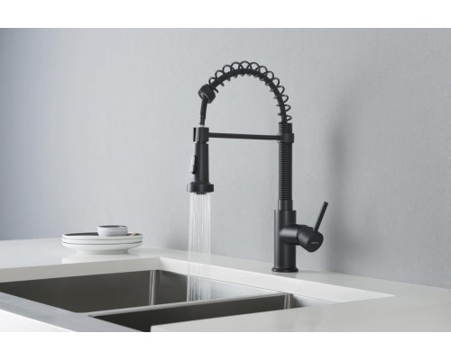 AQ1387MB ЕВРОПА смеситель для кухни 2 jet (профессиональный), матовый черный AQ1387MB