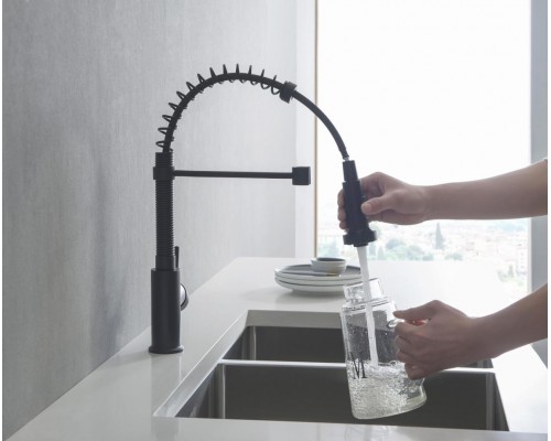 AQ1387MB ЕВРОПА смеситель для кухни 2 jet (профессиональный), матовый черный AQ1387MB