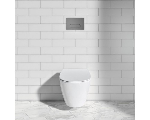 R0115AA OLEAS™ M1 Механическая панель смыва, хром R0115AA